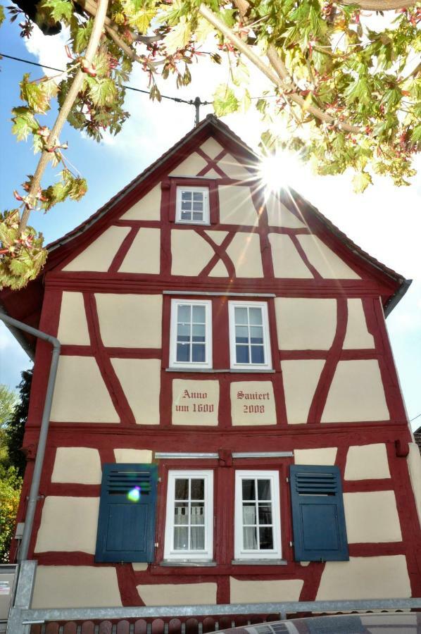 Apartmenthaus Am Zimmerplatz Hofheim am Taunus Exterior photo